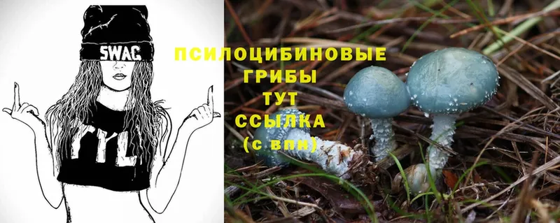 Псилоцибиновые грибы Psilocybine cubensis  KRAKEN онион  даркнет наркотические препараты  Энгельс 